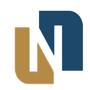 N.S. Engineering logo