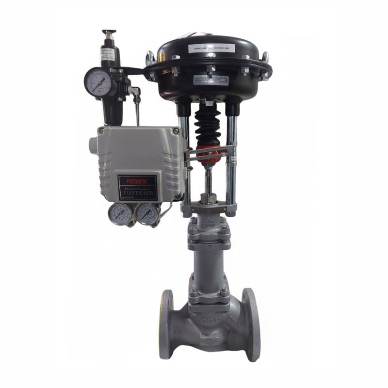 Valves & Actuators